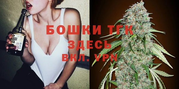 ALPHA PVP Верхний Тагил