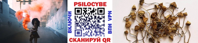 OMG вход наркошоп Луховицы Галлюциногенные грибы GOLDEN TEACHER